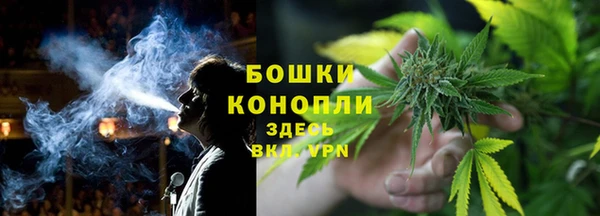 шишки Богородицк