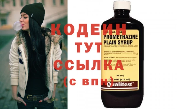 шишки Богородицк
