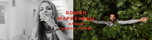 шишки Богородицк
