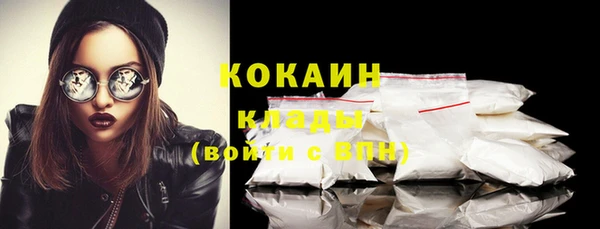 шишки Богородицк