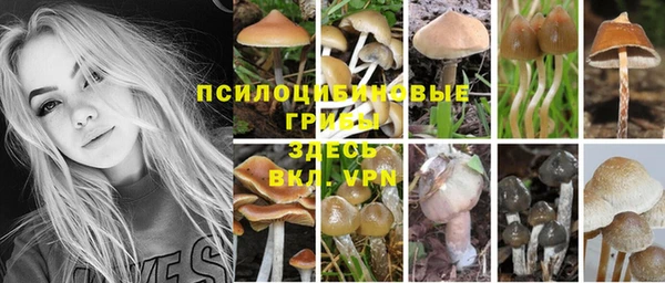 прущая мука Богородск