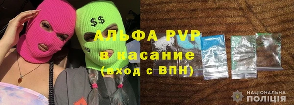 шишки Богородицк