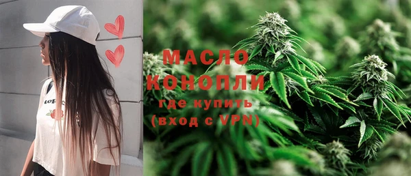 шишки Богородицк