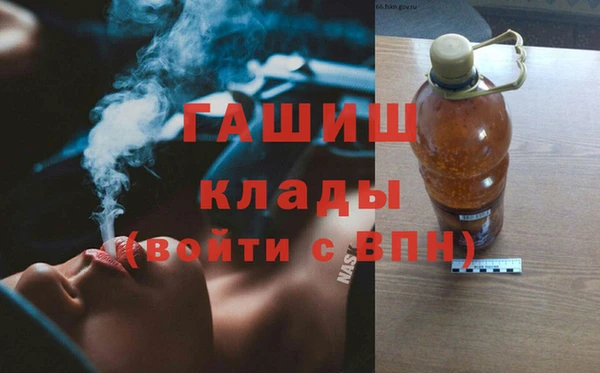 шишки Богородицк