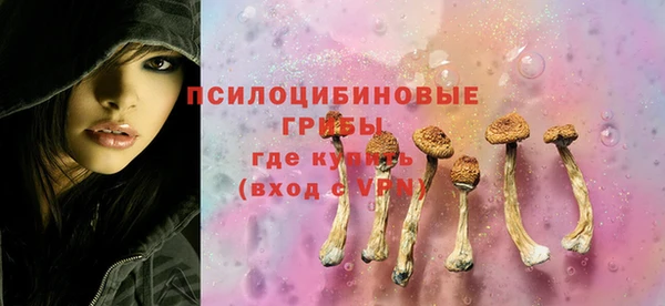 прущая мука Богородск