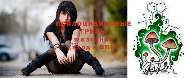 круглые Богданович
