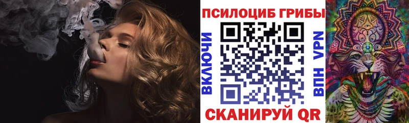 Купить закладки  Беслан  Галлюциногенные грибы Cubensis 